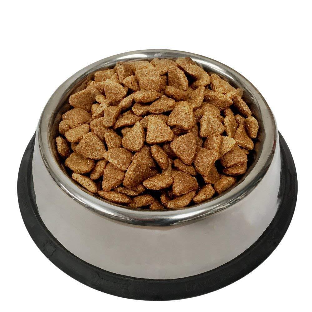 Stainless steel bowl filled with dog food on a white background