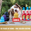 KONG Classic Limited Edition GOLD | 50th Anniversary Enrichment Dog Toy