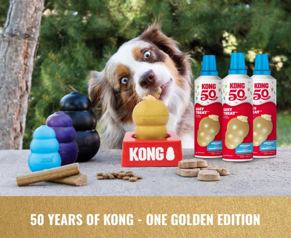 KONG Classic Limited Edition GOLD | 50th Anniversary Enrichment Dog Toy