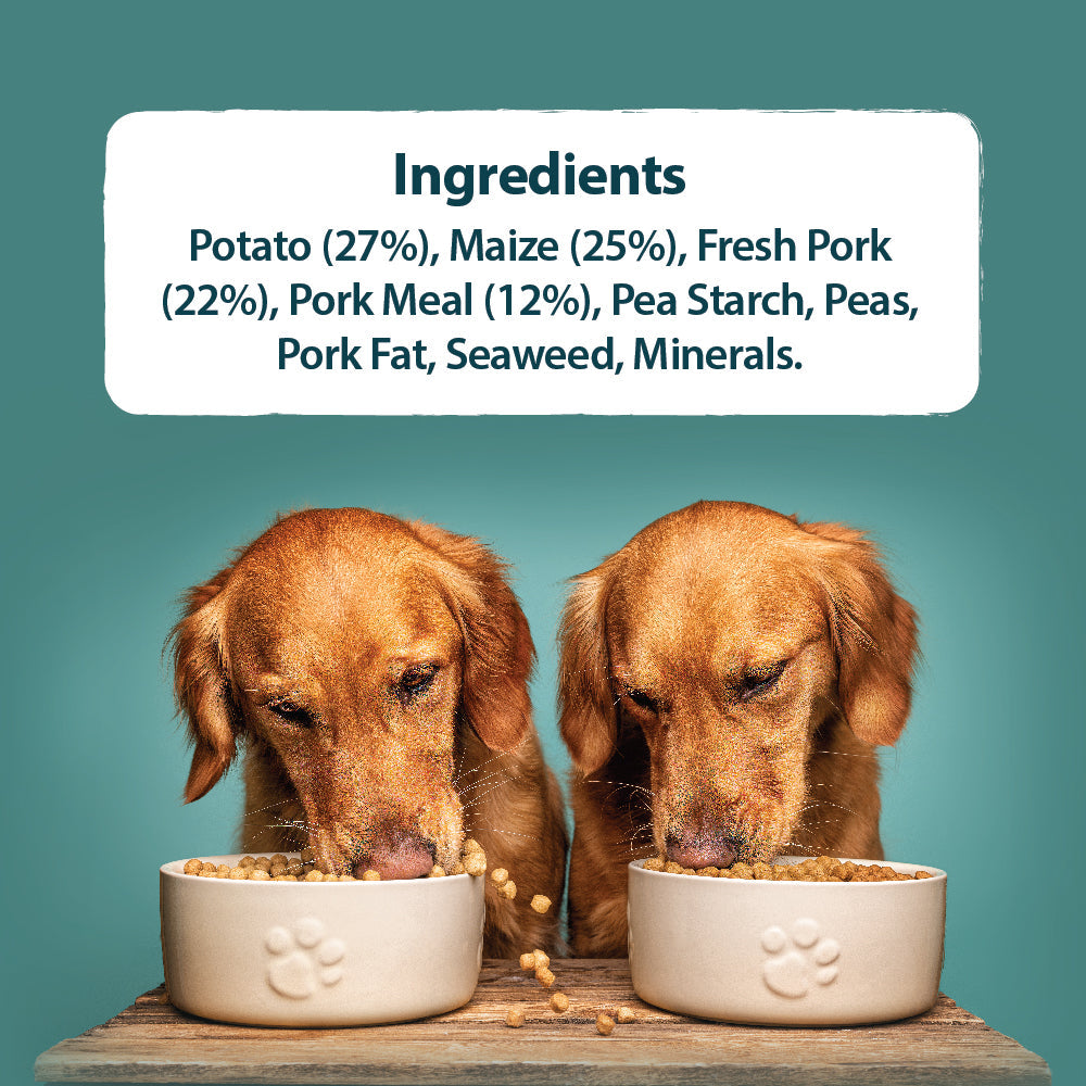 Two dogs eating from bowls with a list of ingredients displayed above.