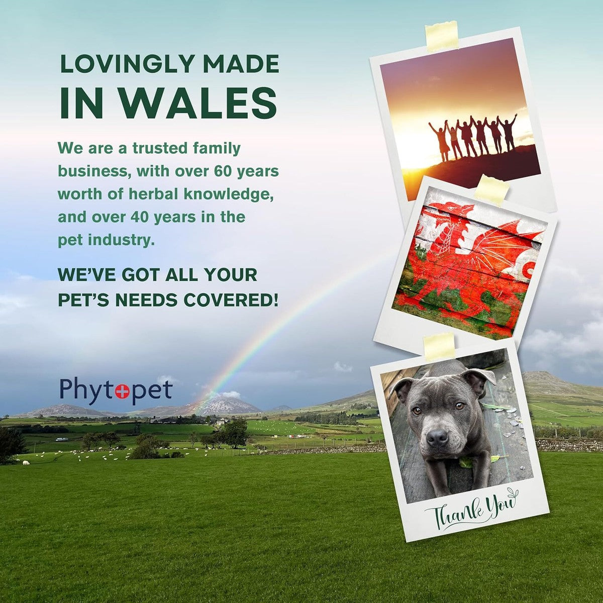 Phytopet Farm & Yard | Soothing Herbal Remedy | Thuja Cream - 150g