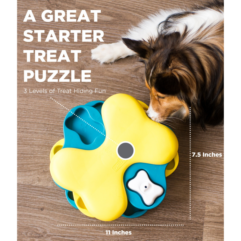 Dog interacting with a yellow and blue treat puzzle toy on a wooden floor.