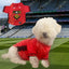 Down GAA Dog Jersey County Football Shirt for Dogs