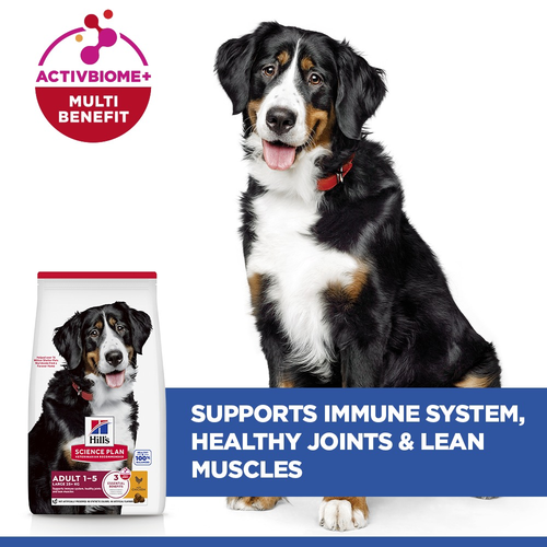 Hill's Science Plan Adult Chicken Large Breed Dry Dog Food