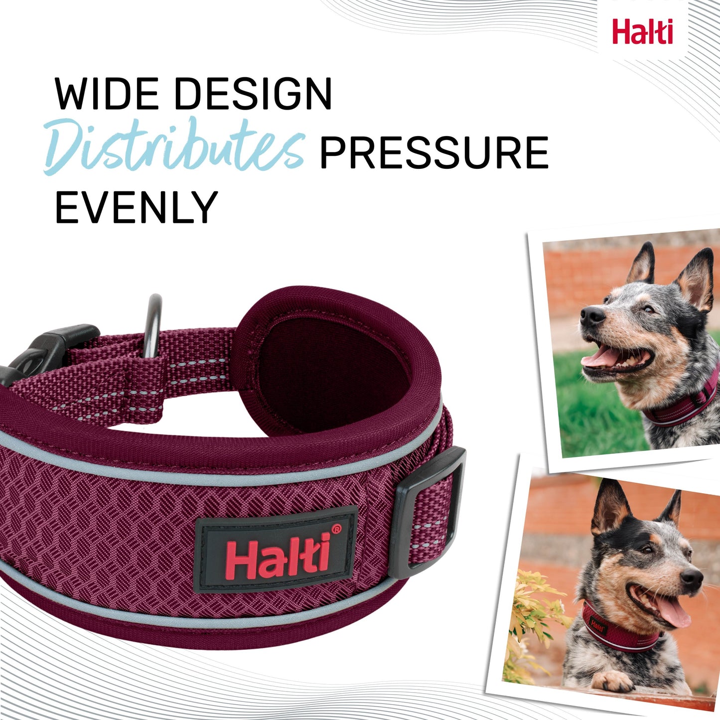 Halti Anatomy Collar - Green | Dog Walking & Training Comfort