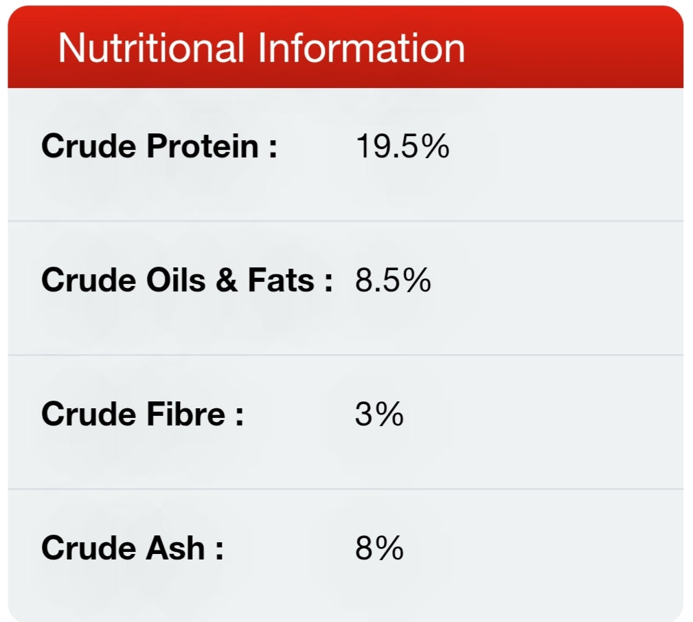 Gain Maintenance 🐕 VAT Free Dry Food for Resting & Retired Dogs