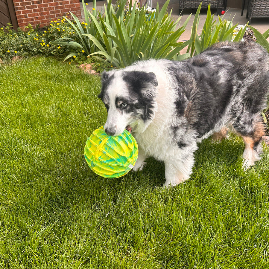 KONG Flexball Sport Ball | Dog Outdoor Toy