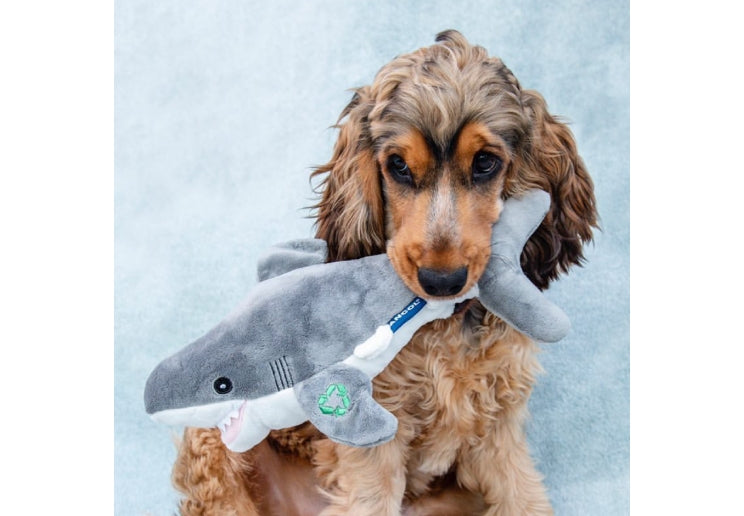 Dog holding a shark-shaped dog toy against a light blue background