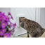 ZeroMOUSE 2.0 AI Prey Detection Extension Add-On for Microchip Cat Flaps