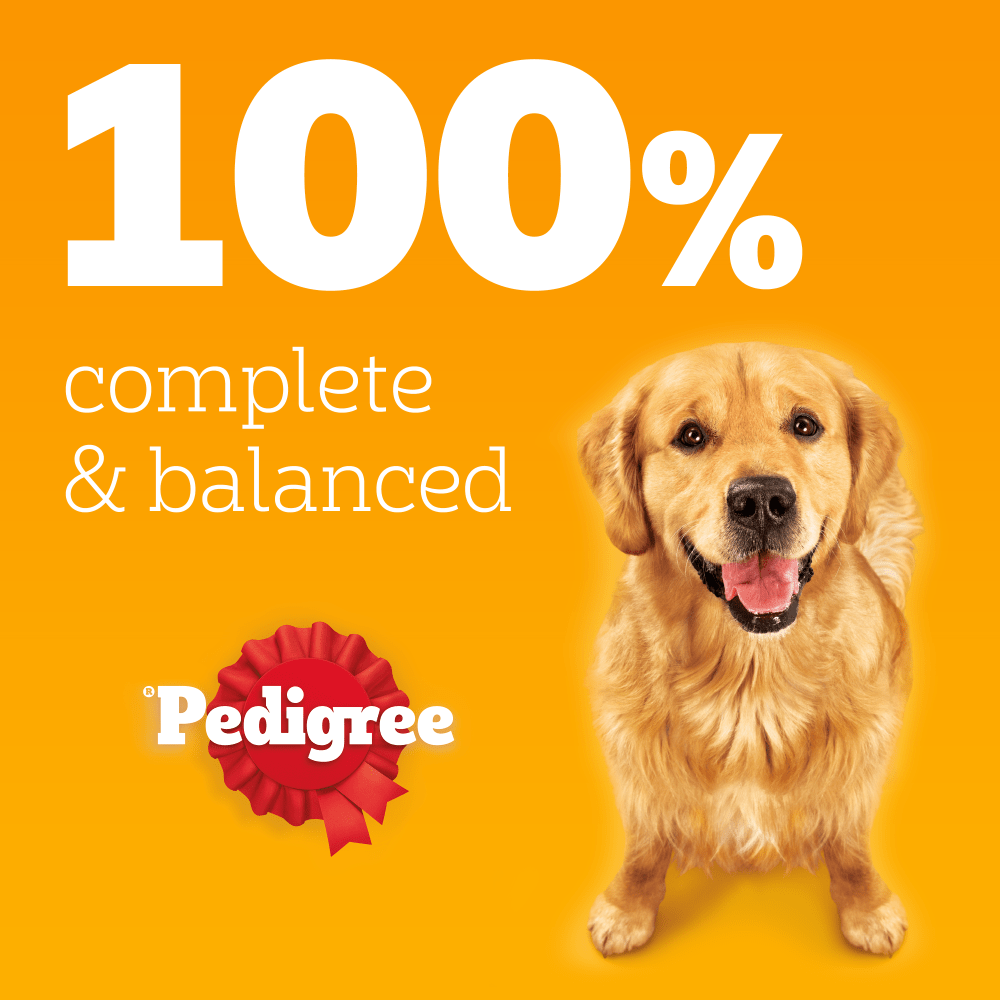 Pedigree Mixed Chunks In Jelly 🐔🐑🐮 Adult Wet Dog Food Tins 12 x 385g