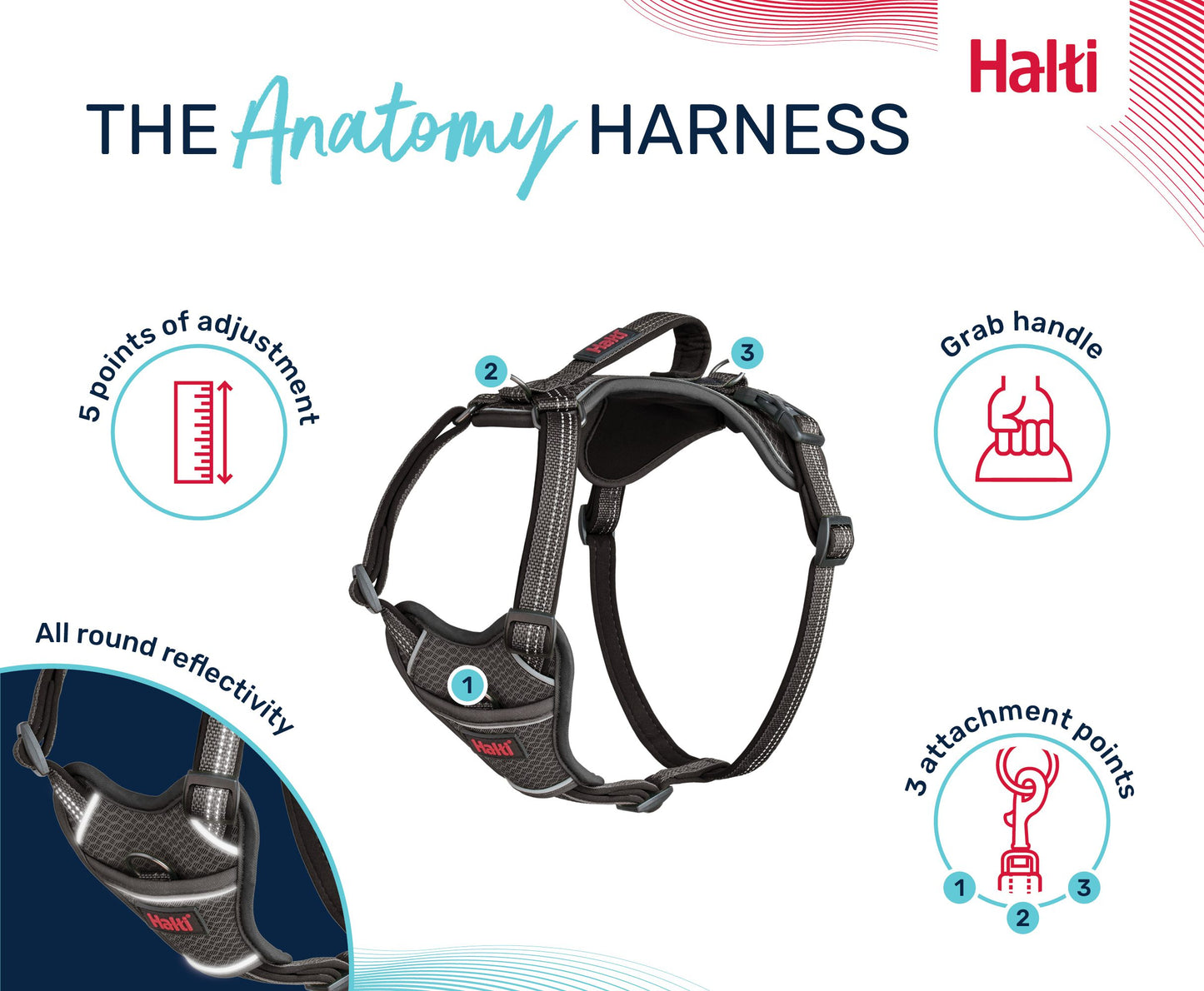 Halti Anatomy Harness | Comfortable Dog Walking & Training