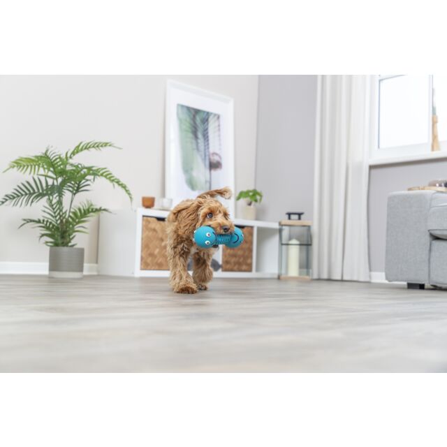 Dog playing with a blue toy in a modern living room.