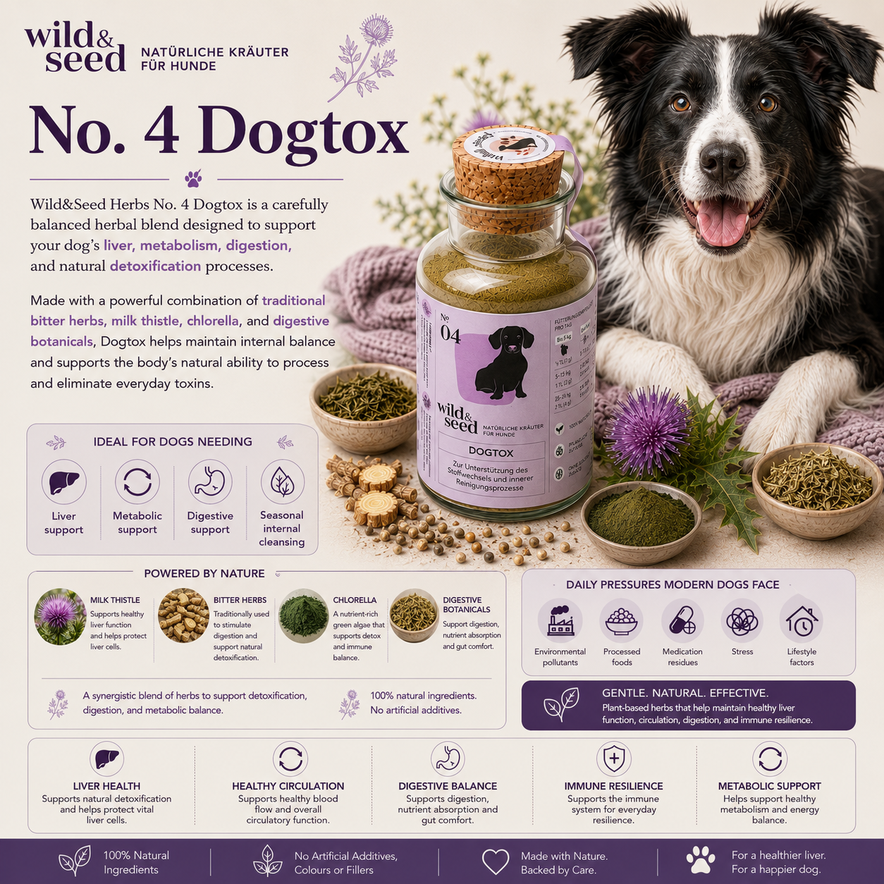 Wild&Seed Herbs No. 4 Dogtox | Natural Liver & Metabolism Support for Dogs