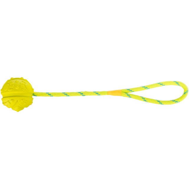 Yellow dog toy with a rope on a white background