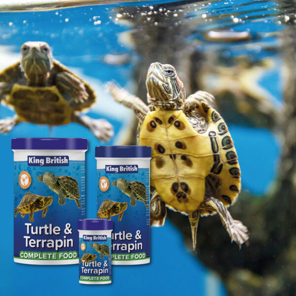 King British | Turtle & Terrapin Complete Food