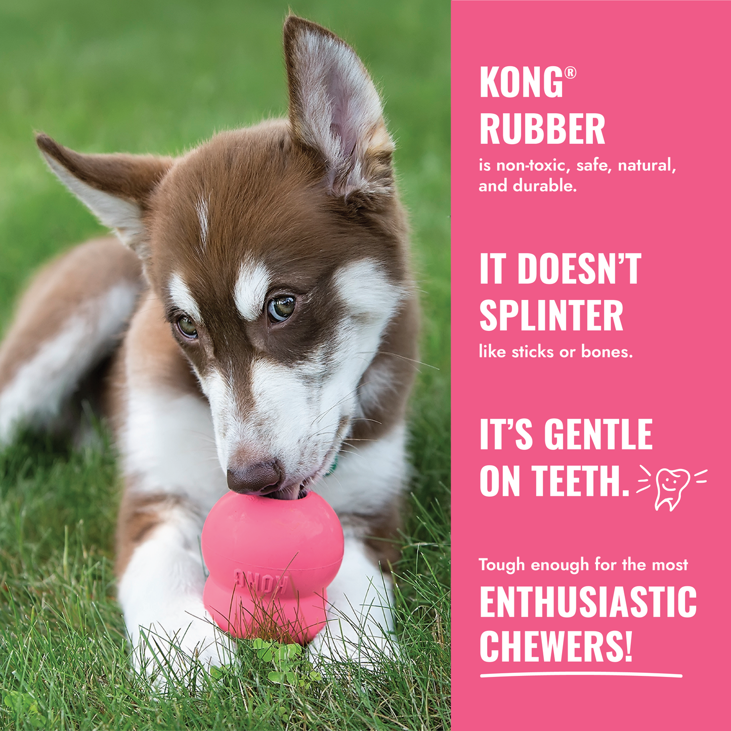 KONG Puppy Goodie Bone | Dog Chew Toy for Teething Puppies