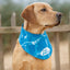 Chill Out | Cooling Bandana for Dogs in Hot Summer Weather & Heatwaves