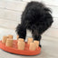 Dog interacting with a wooden puzzle toy on a light-colored floor.