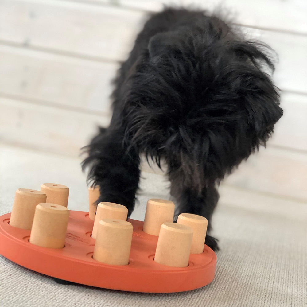 Dog interacting with a wooden puzzle toy on a light-colored floor.