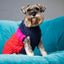 Sötnos Colour Block Sweater | Cosy Dog Jumper