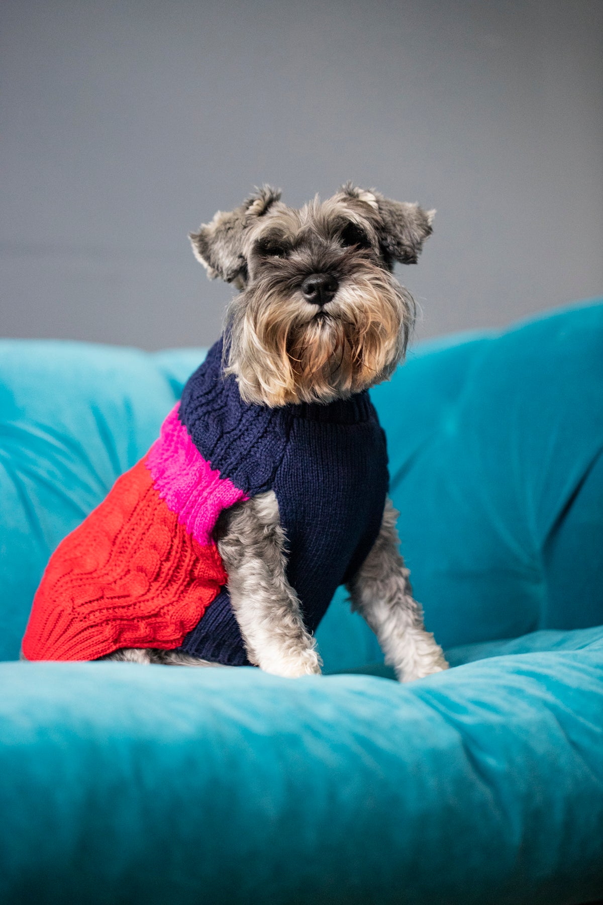 Sötnos Colour Block Sweater | Cosy Dog Jumper