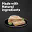 Cesar Garden Terrine with Lamb, Turkey & Green Beans Wet Dog Food