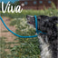 Ancol Viva | Dog Lead | Reflective Nylon Rope Slip - Blue