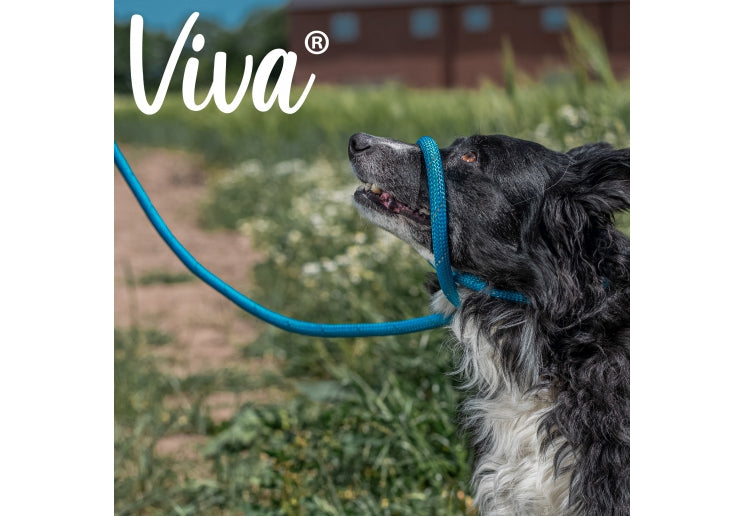 Ancol Viva | Dog Lead | Reflective Nylon Rope Slip - Blue