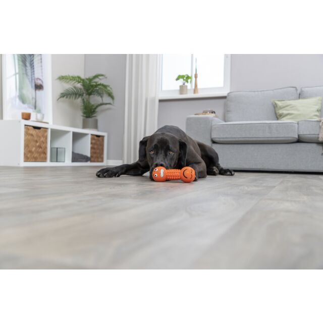 Dog playing with a toy on a wooden floor in a living room.