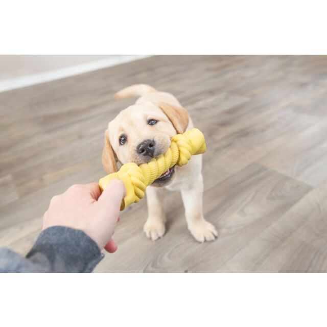 Trixie | Junior Rustling Rope | Latex Puppy Toy
