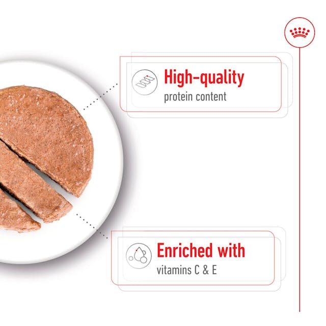 Royal Canin Medium Adult 🐕 Size Health Nutrition Wet Dog Food