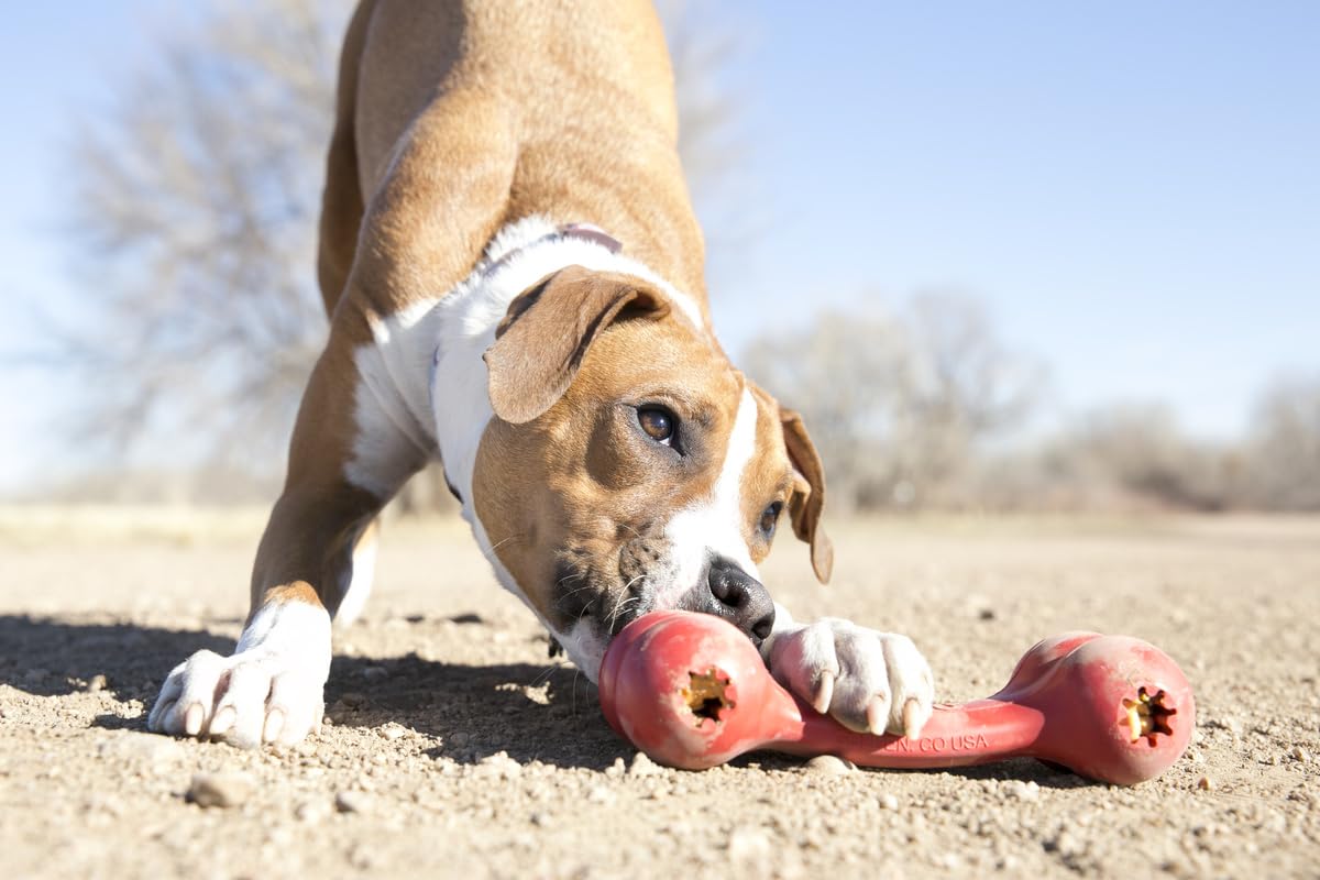 KONG Classic Goodie Bone | Rubber Dog Chew Toy