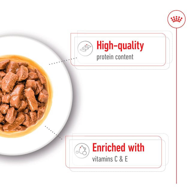 Royal Canin Medium Adult 🐕 Size Health Nutrition Wet Dog Food