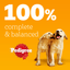 Pedigree Puppy Meat Selection In Jelly Wet Dog Food Tins 6 x 400g