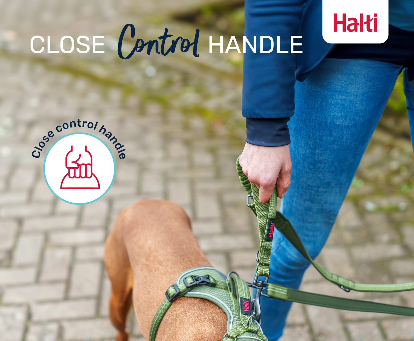 Halti Anatomy Multi Lead | Adjustable, Comfortable & Versatile Dog Walking