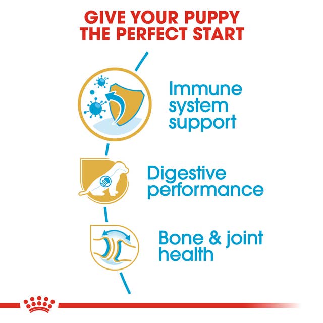 Royal Canin German Shepherd Junior Breed Health Nutrition Dry Dog Food
