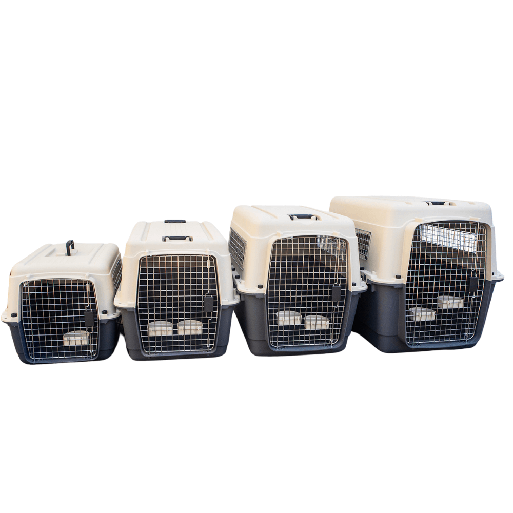 Petmode Aviation Carrier ✈️ IATA-Compliant Travel Kennels for Dogs & Cats