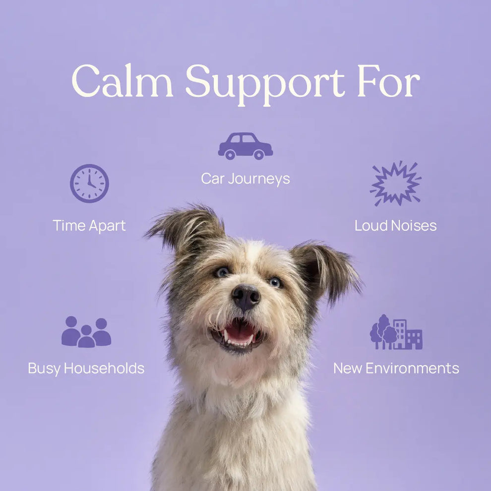 Barkt Calming Supplements for Dogs | Natural Remedy (was Vixen)
