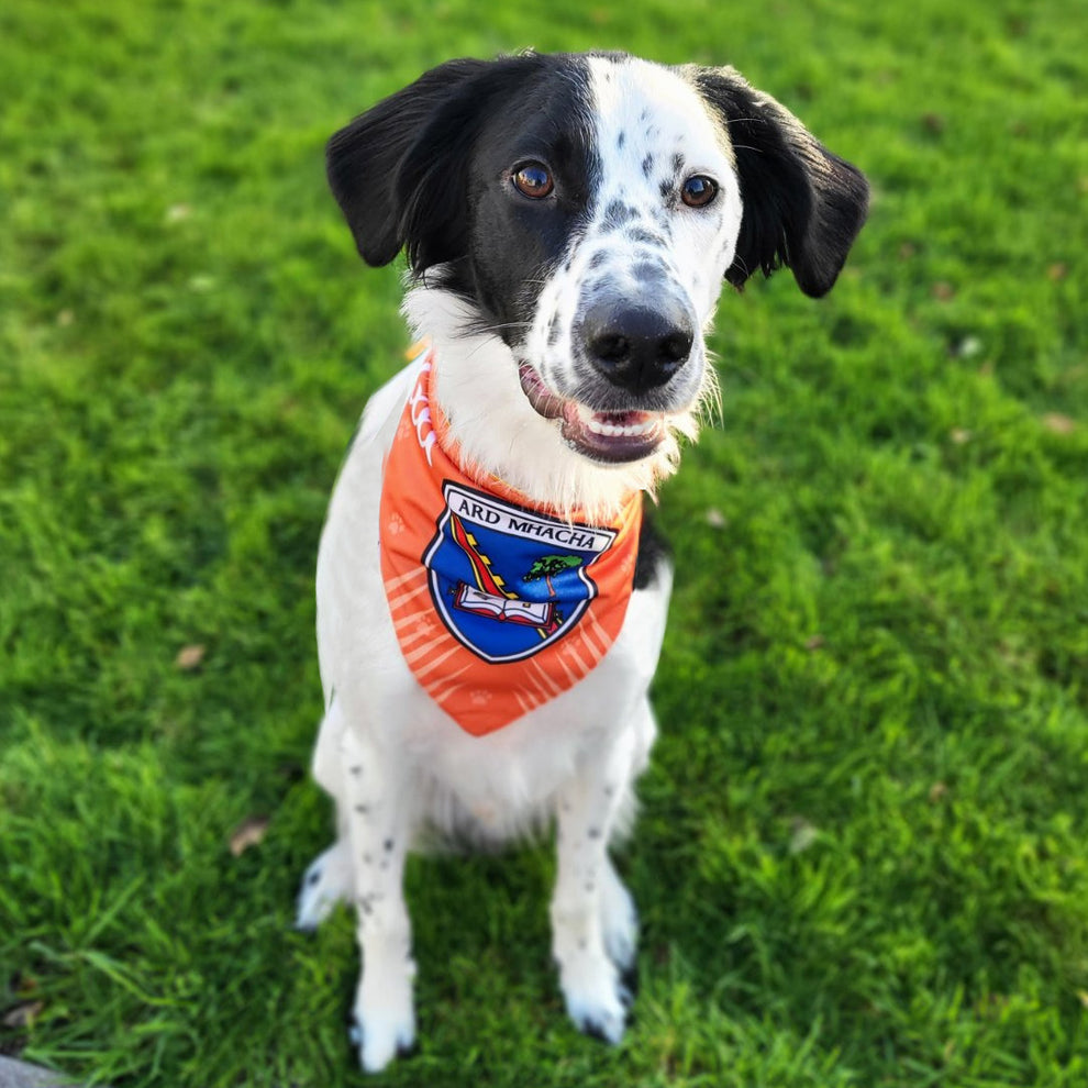 Armagh GAA Dog Bandana County Football Wear for Dogs