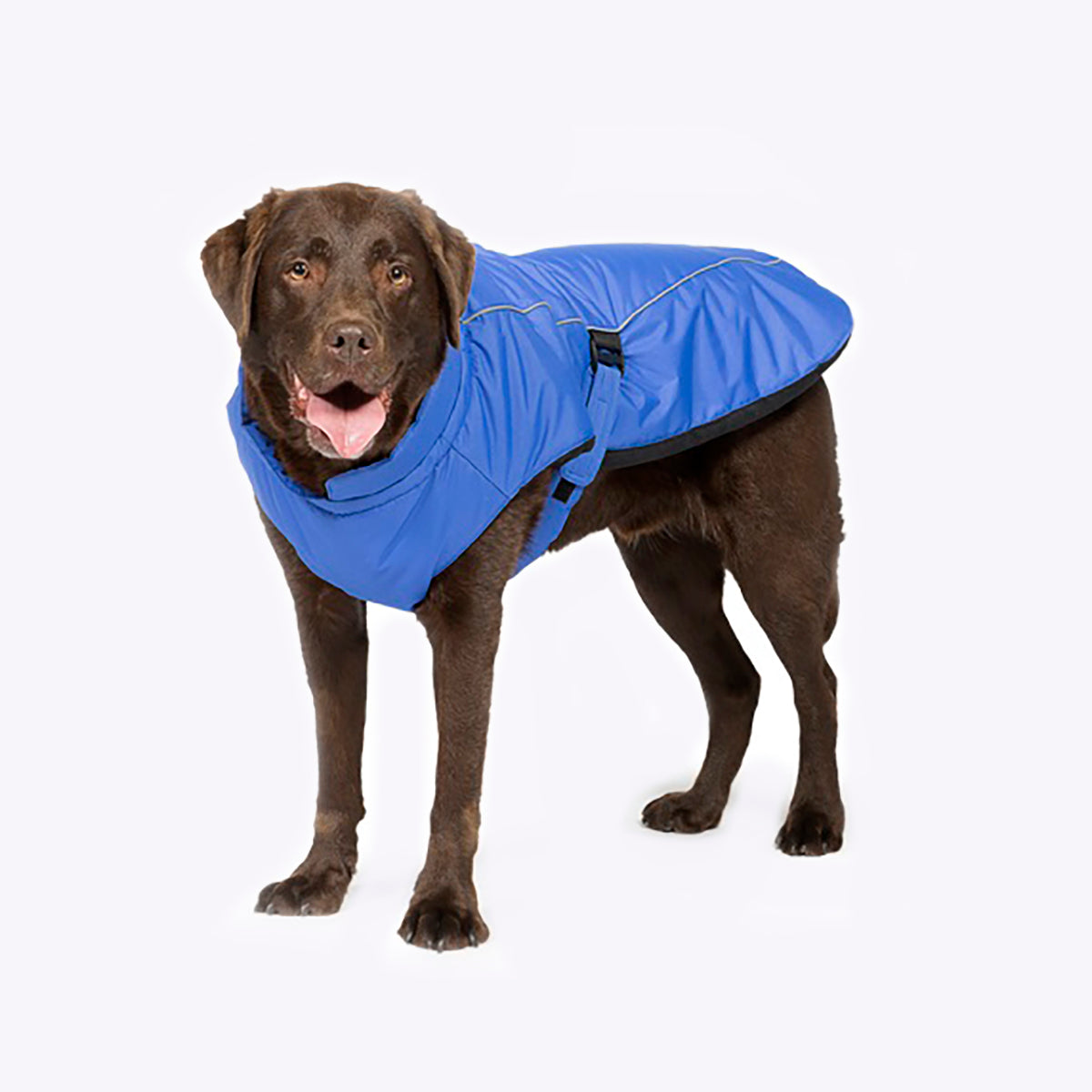 Danish Design Sports Luxe Dog Coat | Waterproof, Windproof & Thermal - Blue
