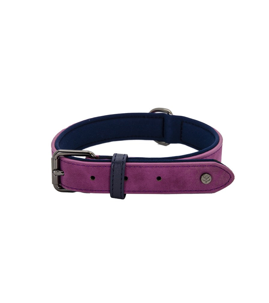 Sotnos BrightsTech | Vegan Leather Dog Collar - Raspberry Purple
