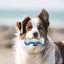 Chill Out | Ice Bone | Dog Cooling Toy for Summer & Heatwaves
