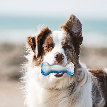 Chill Out | Ice Bone | Dog Cooling Toy for Summer & Heatwaves