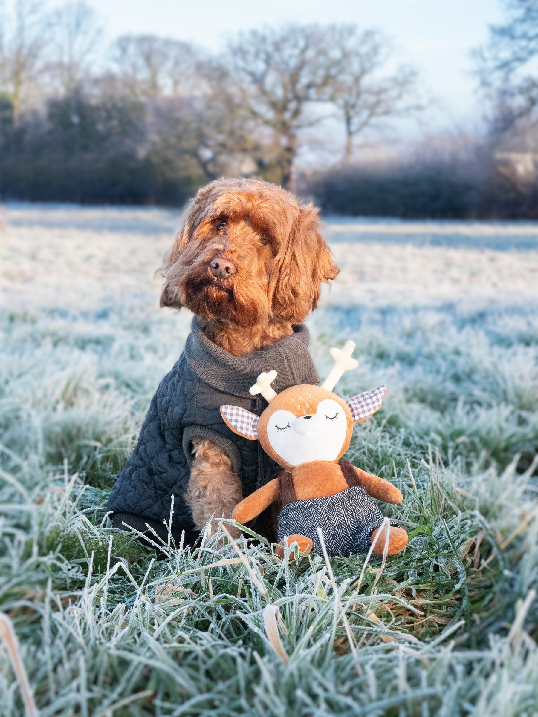 Dog in a field with a toy deer on a frosty morning