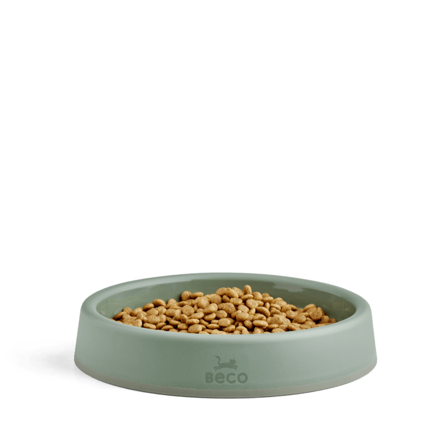 Beco | Cat Food & Water Steady Bowl | Eco Friendly Recycled Plastic - Green