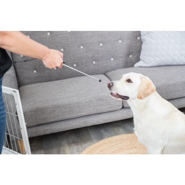 Trixie | Dog Activity | Training Touch Target Stick