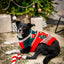 Dog Christmas jumper