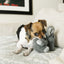 KONG Comfort Kiddos Elephant | Soft Dog Toy