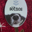 Sticker with a dog's nose and 'sotnos' branding on a red textured background