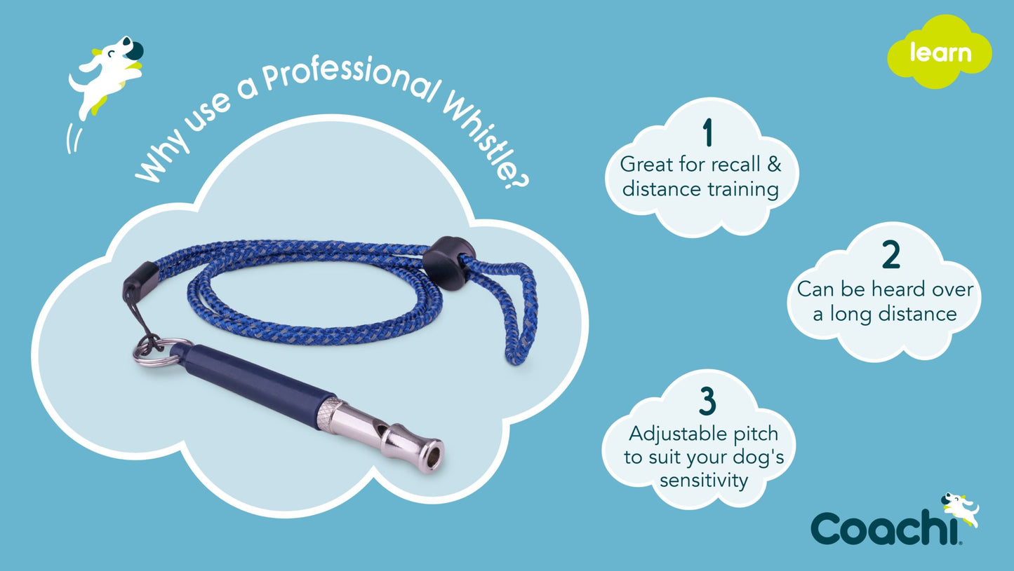 Coachi | Professional Dog Training Whistle for Recall & Distance Control